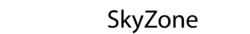 globalskyzone.com logo